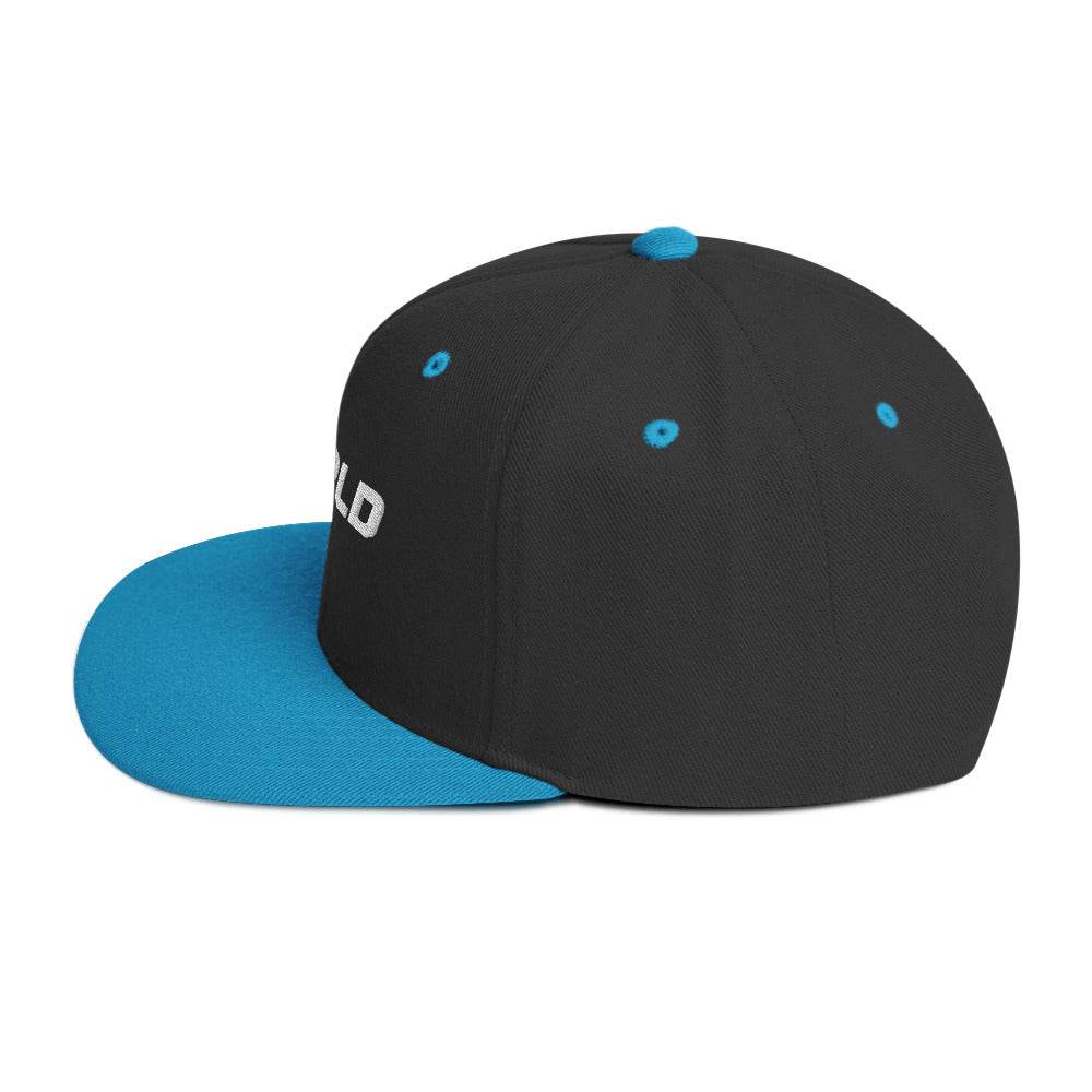 NWRLD ESSENTIALS / Snapback Hat - NWRLD CLOTHING