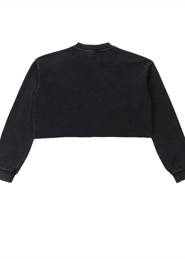 Snow Washed Raw Edge Cropped Sweatshirt