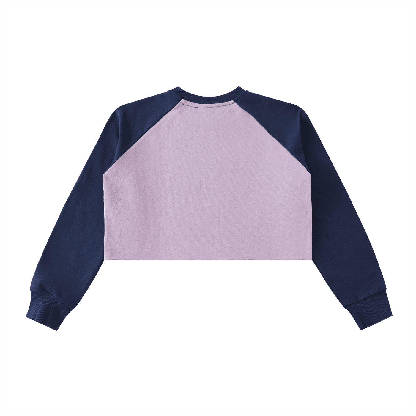 NWRLD CLEAN / Color-Block Raglan Crop Sweatshirt - NWRLD CLOTHING